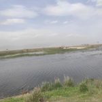 تالاب صالحیه