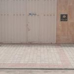 شرکت دلفین دریای آرام