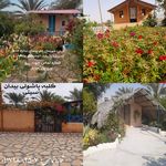 سوئیت و کلبه