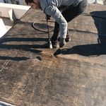 بیگلر رشید قاچکانلو