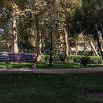 بوستان قبا