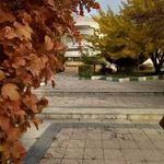 دانشکده ادبیات و علوم انسانی دانشگاه رازی