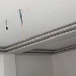 سید علیرضا کرسوی کاشانی