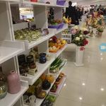 ایران کتان بابلسر
