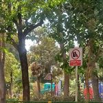 بوستان صوفی