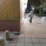 سرویس بهداشتی