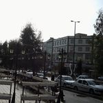 کلینیک دامپزشکی کارا