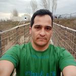 قالیشویی احد جعفری