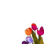 دکتر منیژه باقری