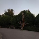 بوستان ملاخلیلا