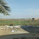 تالاب ناصری (نیشکر)