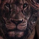 Tattookavos اجرا و آموزش100 ٪تضمینی تتو