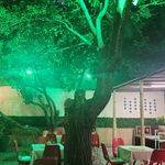 کافه رستوران صوفی