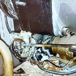 تقی ابراهیمی