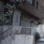 بیمه ایران (کد 5049)