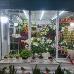 گلفروشی سامان