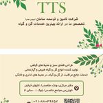 گلفروشی سامان
