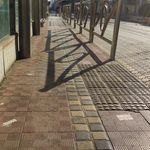 پرنس پایتخت