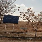 دانشگاه علمی کاربردی دماوند