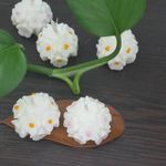 ساخت قالبهای سلیکونی دست ساز و شمع