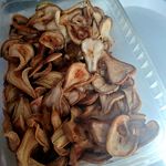 فروشگاه محصولات ارگانیک طلای هشت بهشت