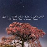دکتر مشاور و روانشناس فرشته شفیعی