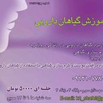 پخش فراورده گیاهی آرنیکا