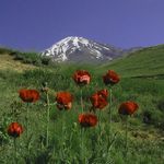 دامنه دماوند