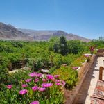 رستوران ناربن