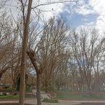 پارک کشاورز