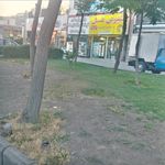 فروشگاه شیرین عسل شعبه کارشناسان