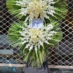 گالری گل یاس