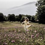 آتلیه عروس هنر هفتم