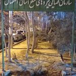 سازمان قضایی