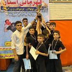 استاد میثم رشتبر  مربی آموزش هنرهای رزمی کونگ فو