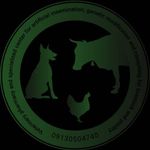 مرکز تخصصی تلقیح مصنوعی،تولید مثل اصلاح ژنتیک و مشاوره دام طیور