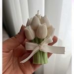 آموزشگاه نقاشی و هنرهای تجسمی زند