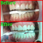 دکتر محمد بیطرف