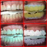 دکتر محمد بیطرف