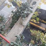 مرکز خرید محسنی