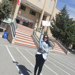 هنرستان امین