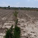 مشاوراملاک بالابان