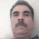 مسعودعلی شعبانی علیایی