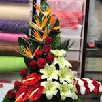 گلفروشی گل ارکیده