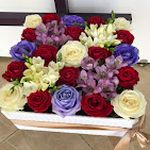 گلفروشی گل ارکیده