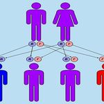 مشاوره ژنتیک دکتر حسن محبتی