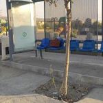 ایستگاه اتوبوس شهید هاشمی نژاد