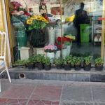 گل بهار