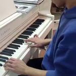 آموزشگاه موسیقی نوای نیک(درجه یک)