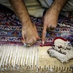 لیلا فرجی
